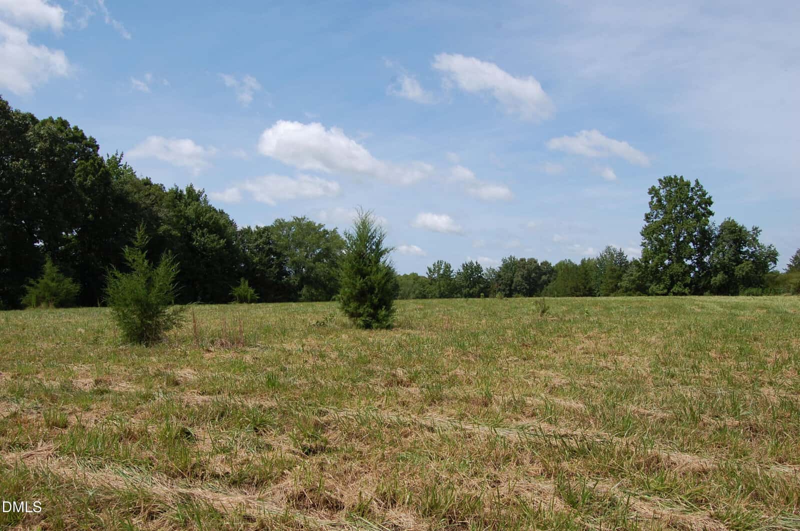 A grassy open field near 001 Keeton Road, Bullock, features scattered small trees and taller trees lining the background beneath a blue sky with scattered clouds.