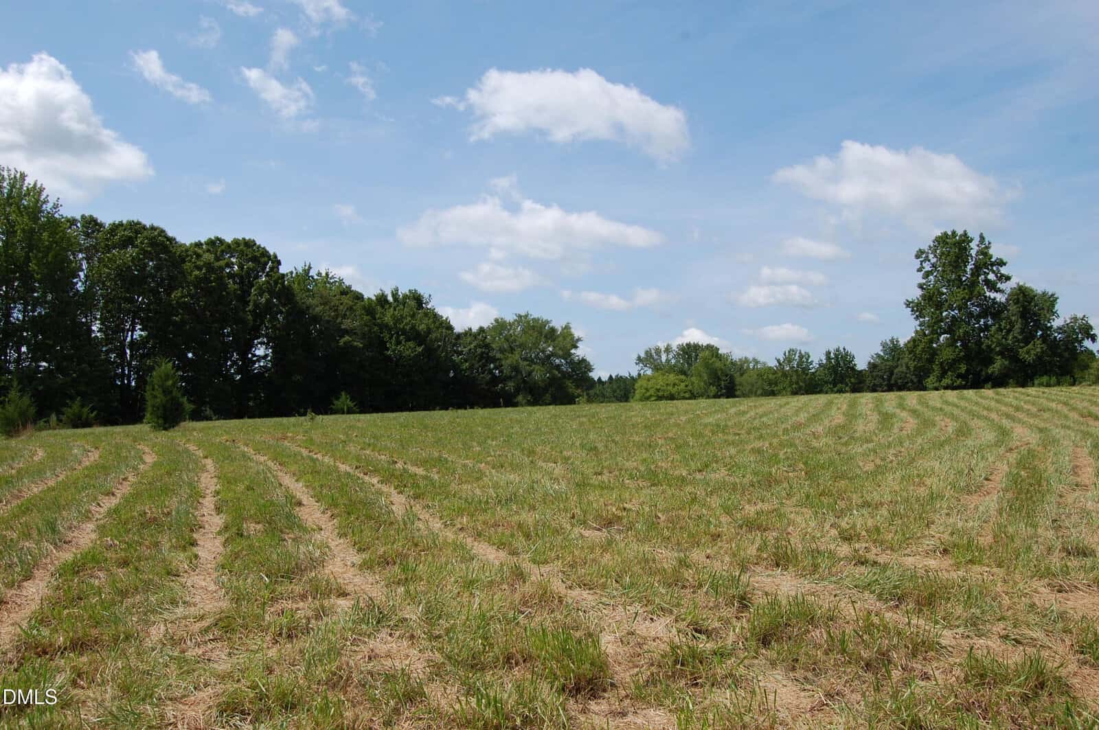 A grassy field with parallel lines of mowed grass under a partly cloudy sky, bordered by dense green trees on the left and background.