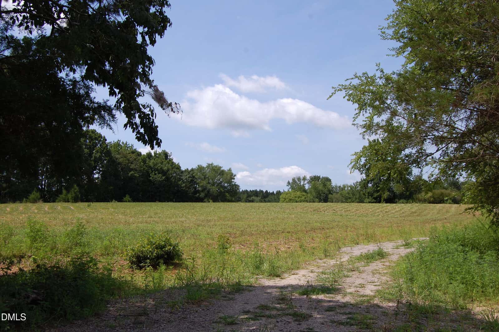 A dirt path curves through a grassy, open field bordered by trees under a blue sky with scattered clouds. The scene is well lit by daylight.