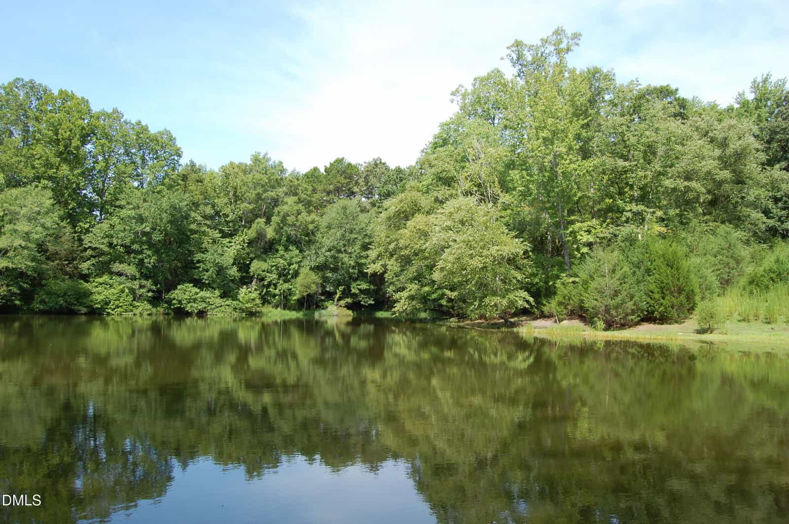 A calm pond surrounded by green trees under a blue sky, with the trees reflected in the water and grassy areas along the shoreline.