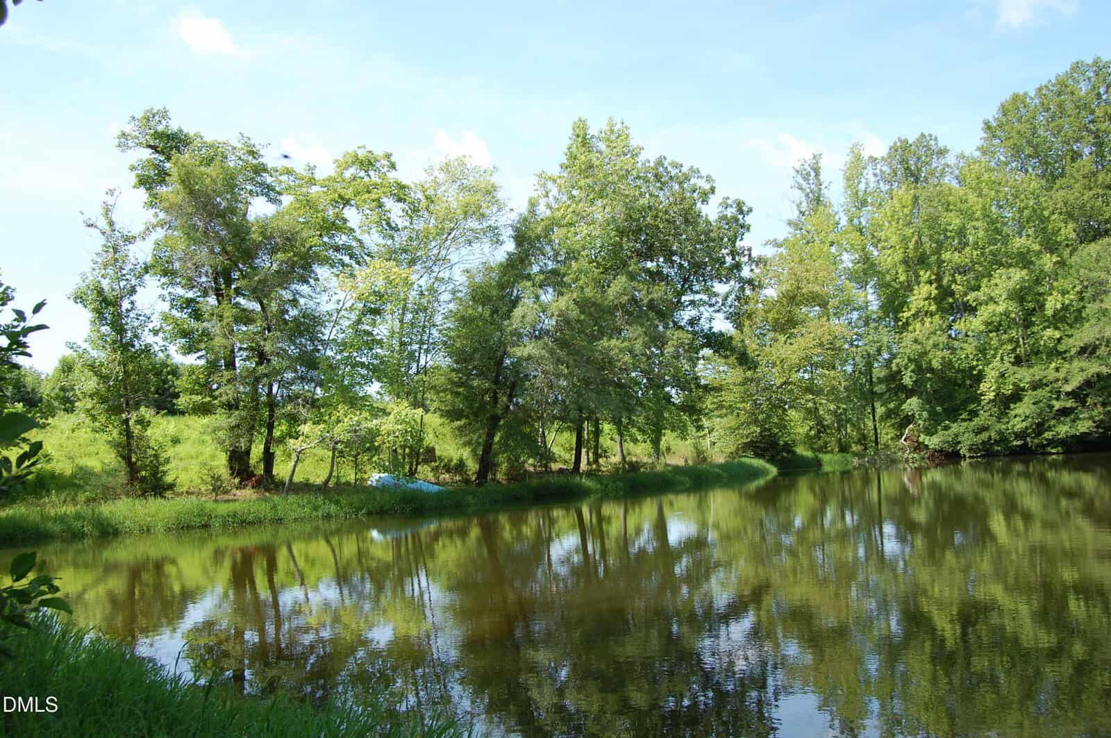 A calm pond reflects green trees and blue sky on a bright, sunny day. Grass and leafy trees line the shore, creating a peaceful, natural scene.