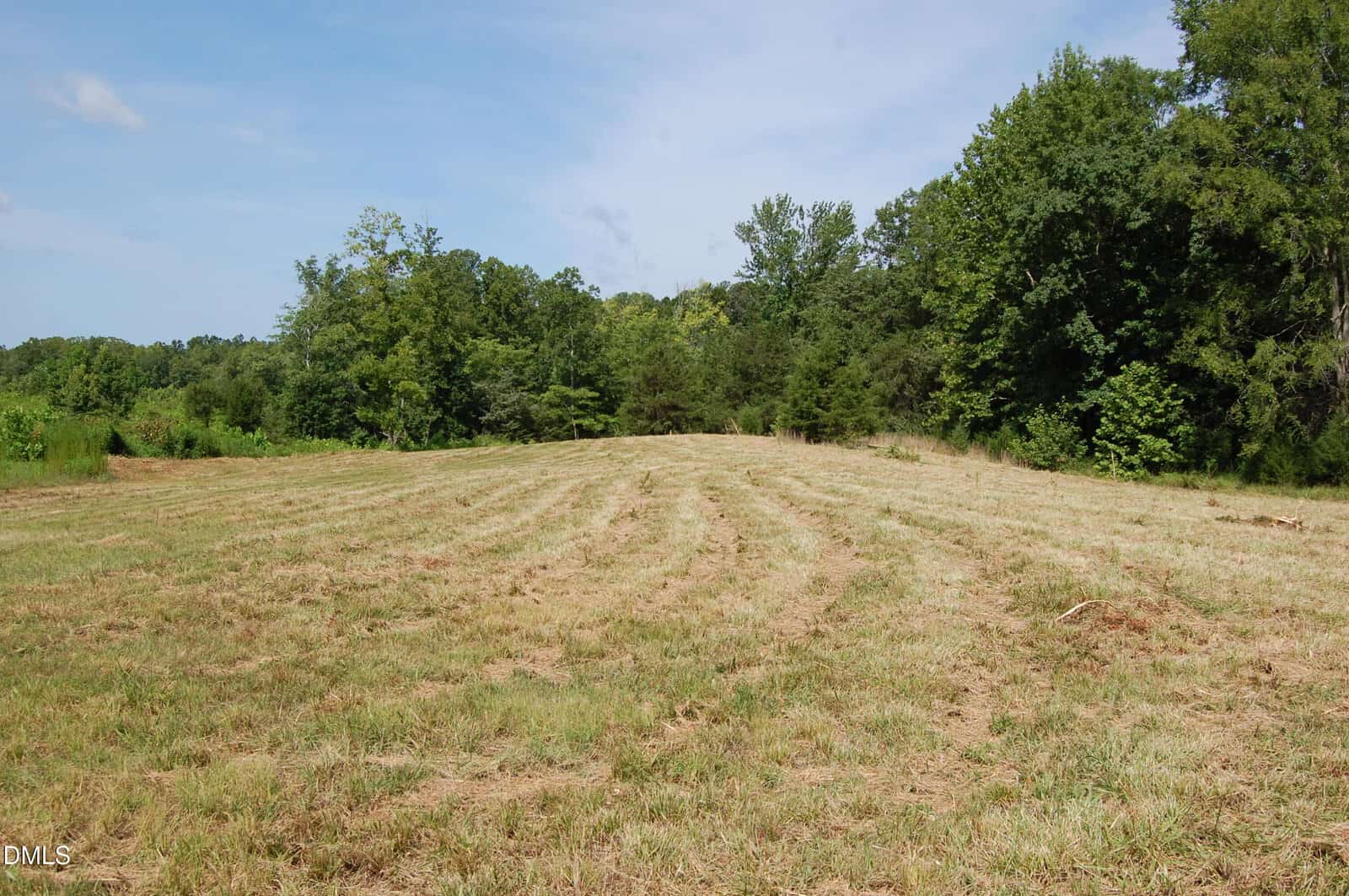 A grassy, recently mowed field leads to a line of dense green trees under a partly cloudy sky. No people or animals are visible.