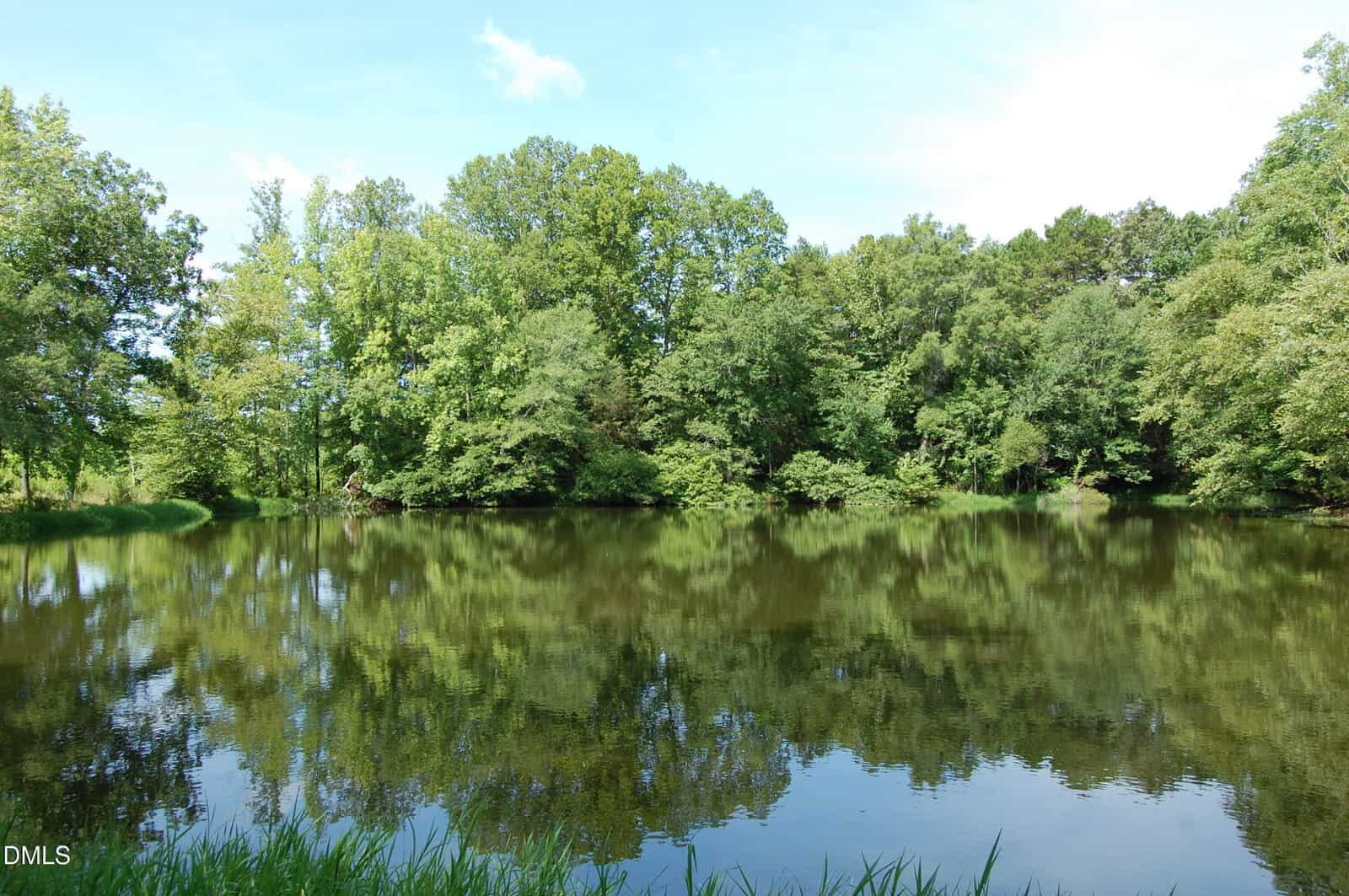 A calm pond at 008 Keeton Road is surrounded by dense green trees, their reflections shimmering in the water under a clear blue sky. Grassy plants line the edge in the foreground, creating a peaceful Bullock retreat.
