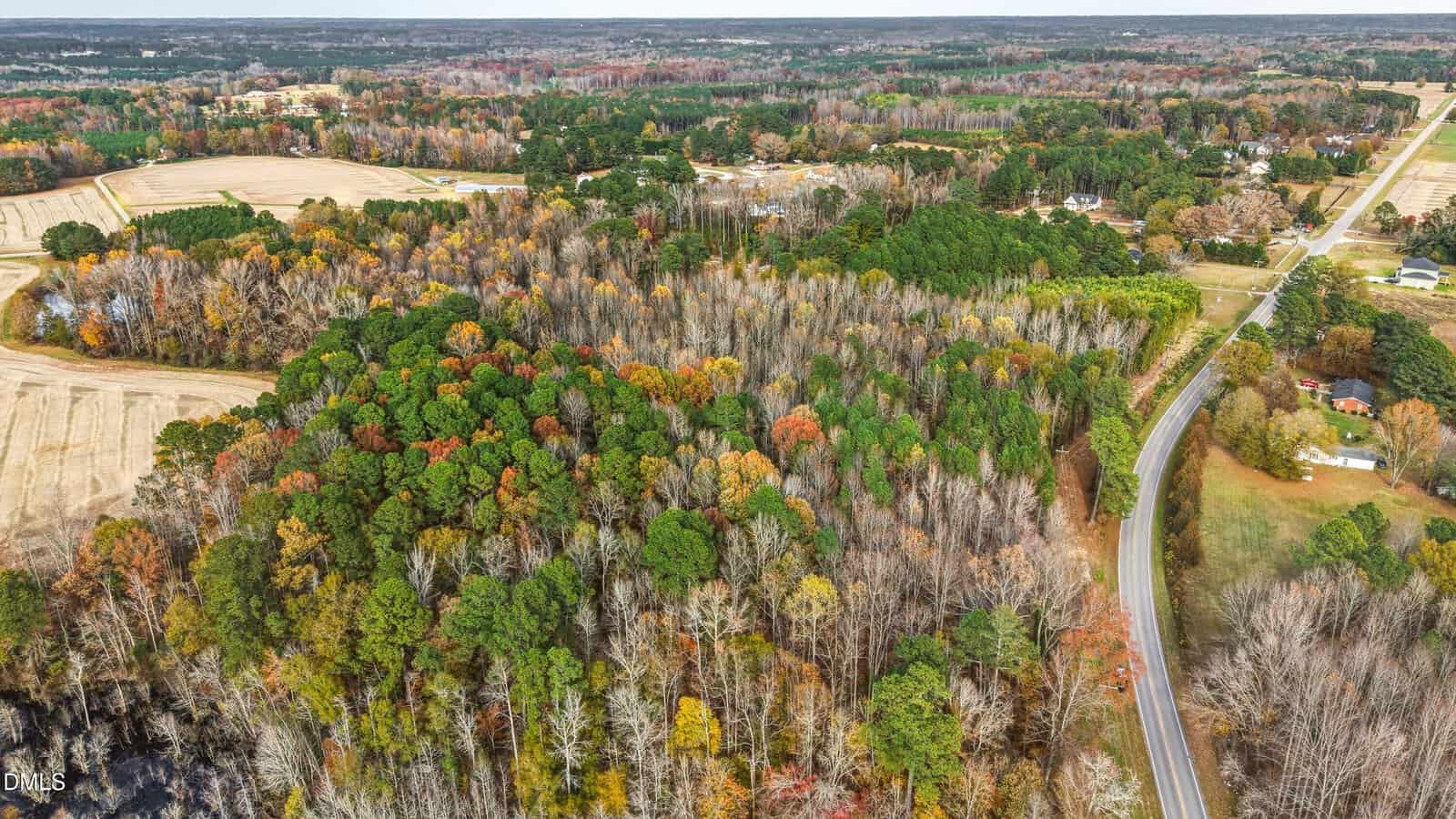 Aerial view of a rural landscape with a winding road, dense forest, scattered houses, farmland, and autumn foliage in various colors. The sky is overcast, and the horizon is visible in the distance.
