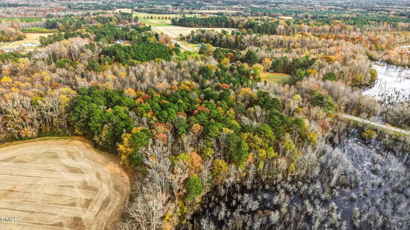 Aerial view of a forest with trees showing autumn colors, bordered by a partially flooded area and farmland, with scattered rural buildings and roads in the distance.