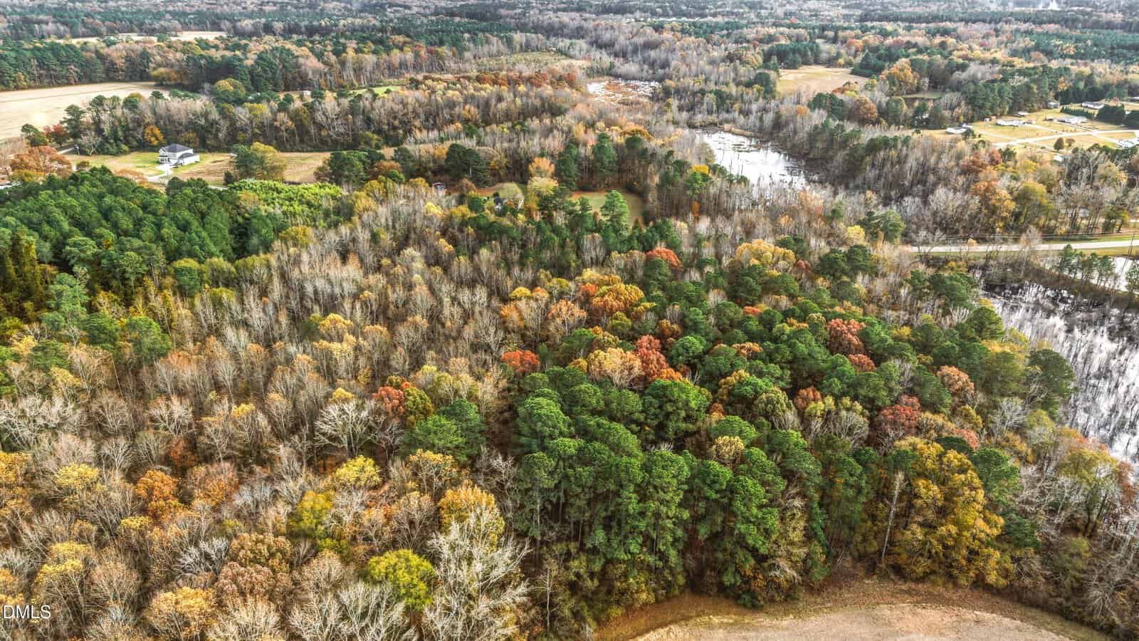 Aerial view of a forest with trees in autumn colors, surrounded by open fields, a distant pond, and scattered houses under a cloudy sky.
