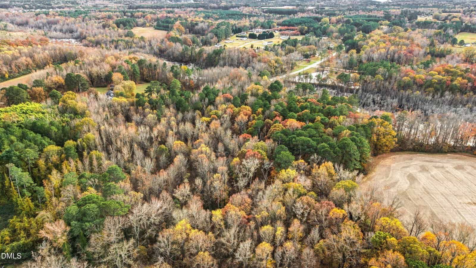 Aerial view of a forest with trees in autumn colors, adjacent to a field and rural roads, with scattered houses in the background.