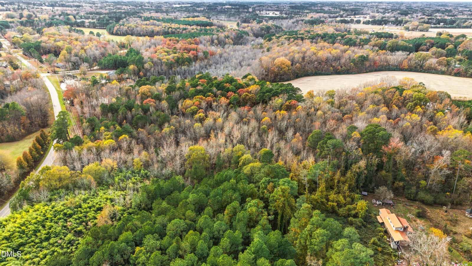 Aerial view of a rural landscape with dense green and multicolored autumn trees, a winding road, an open field, and a house partially hidden by trees. Fields and forests extend to the horizon.
