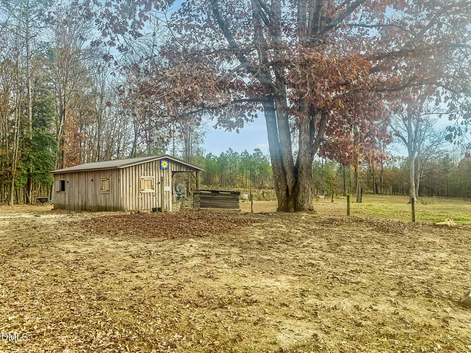 A small wooden shed sits near a large tree with brown leaves in a fenced, rural area. The ground is covered with fallen leaves, and trees border the open grassy field in the background.