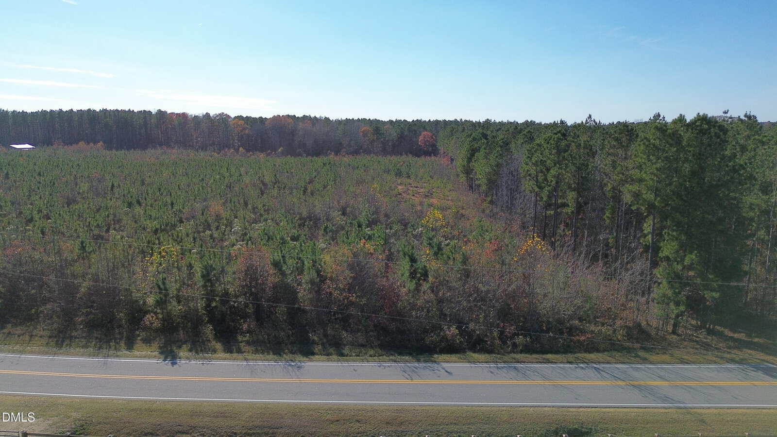 A two-lane road runs along the edge of a dense forest with tall green trees and some autumn foliage under a clear blue sky.