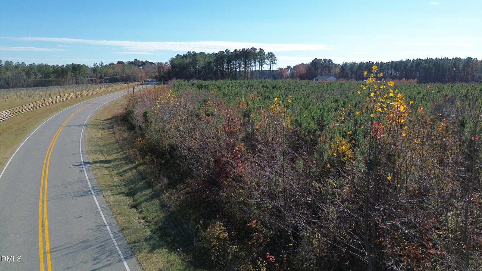 A rural road curves next to a dense forest with green and some autumn-colored trees under a clear blue sky. A wooden fence runs along the opposite side of the road.