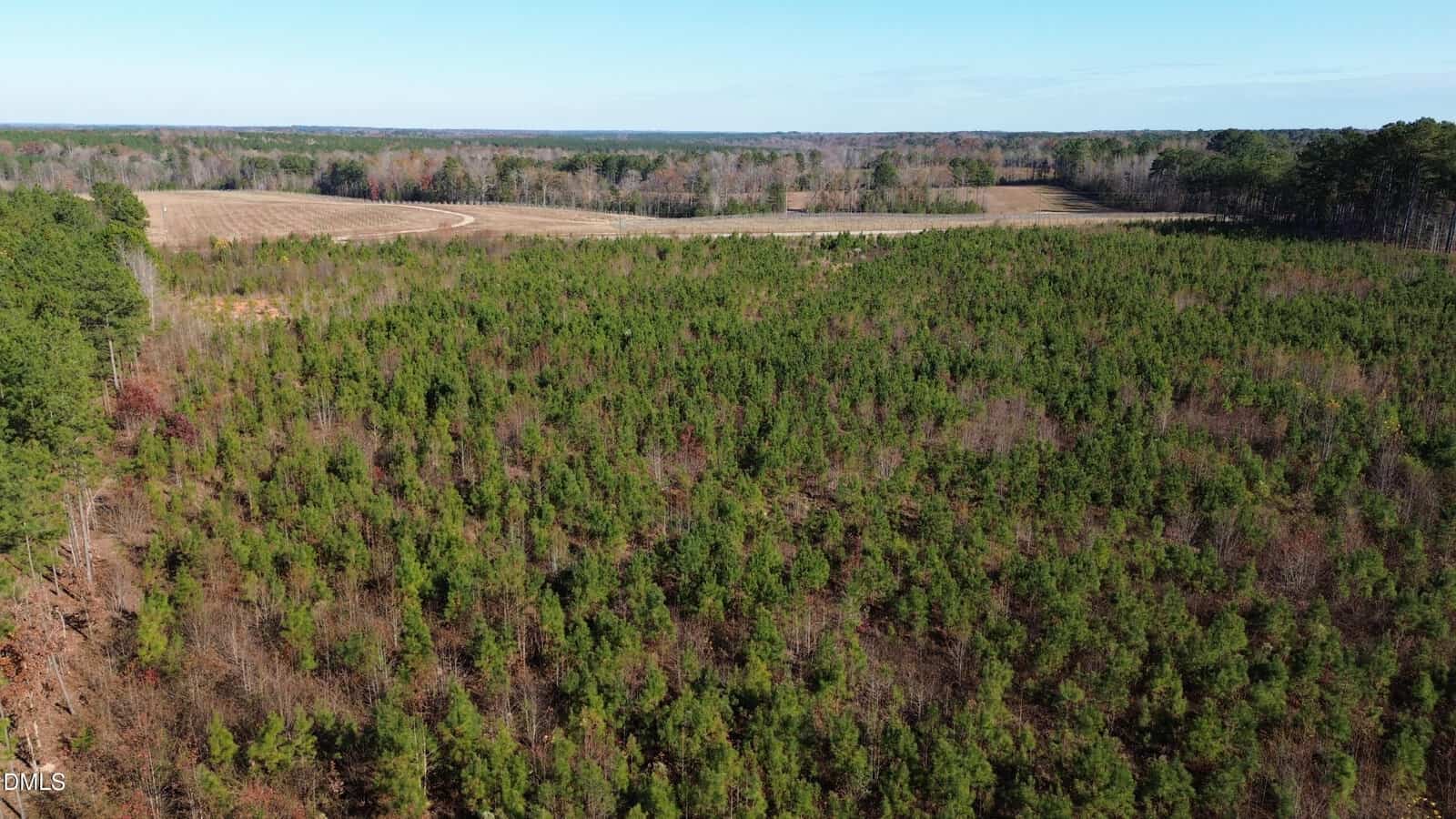 Aerial view of a vast green forest with dense trees in the foreground and open farmland fields in the background under a clear blue sky.