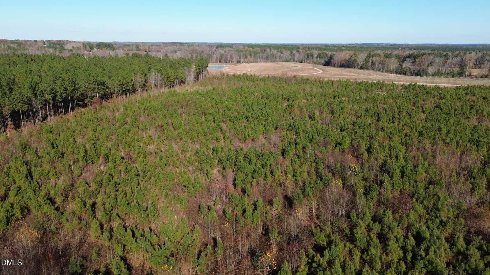 Aerial view of a dense, green forest with some brown patches, a dirt road curving through an open field in the background, and a clear blue sky above.
