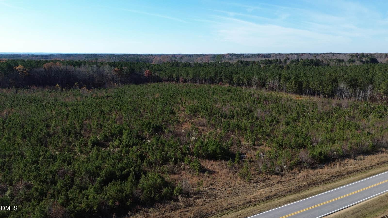 A paved road runs alongside a large, densely forested area with green trees under a clear blue sky. The landscape stretches into the distance, with a mix of young and mature trees.