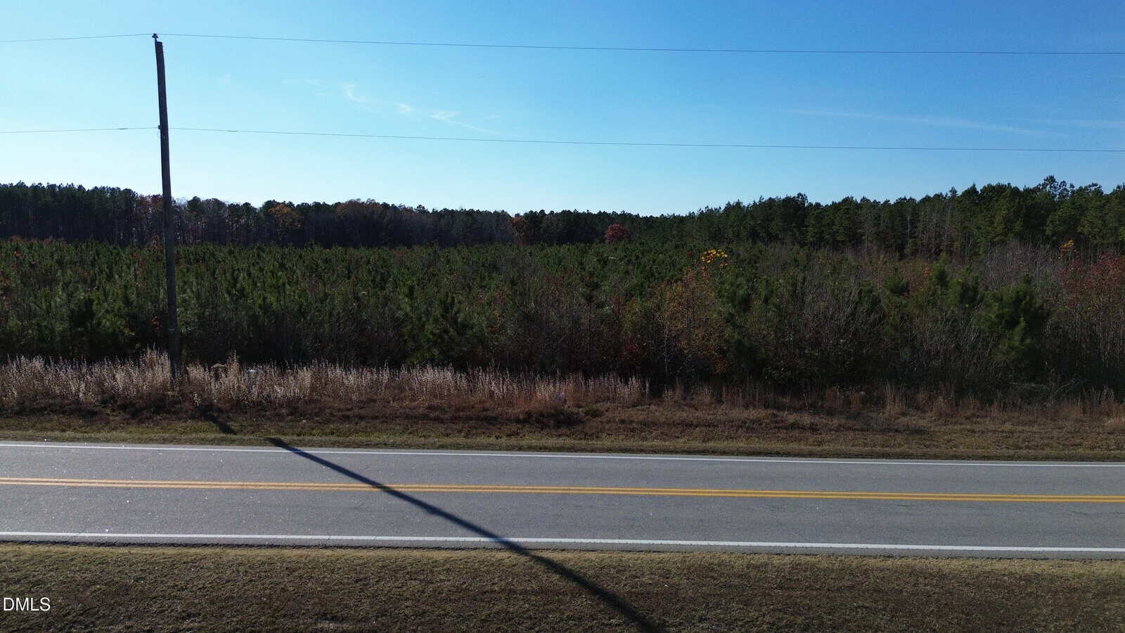 A two-lane rural road runs parallel to a grassy shoulder, with a single utility pole and wires overhead. Dense green forest stretches across the background under a clear blue sky.