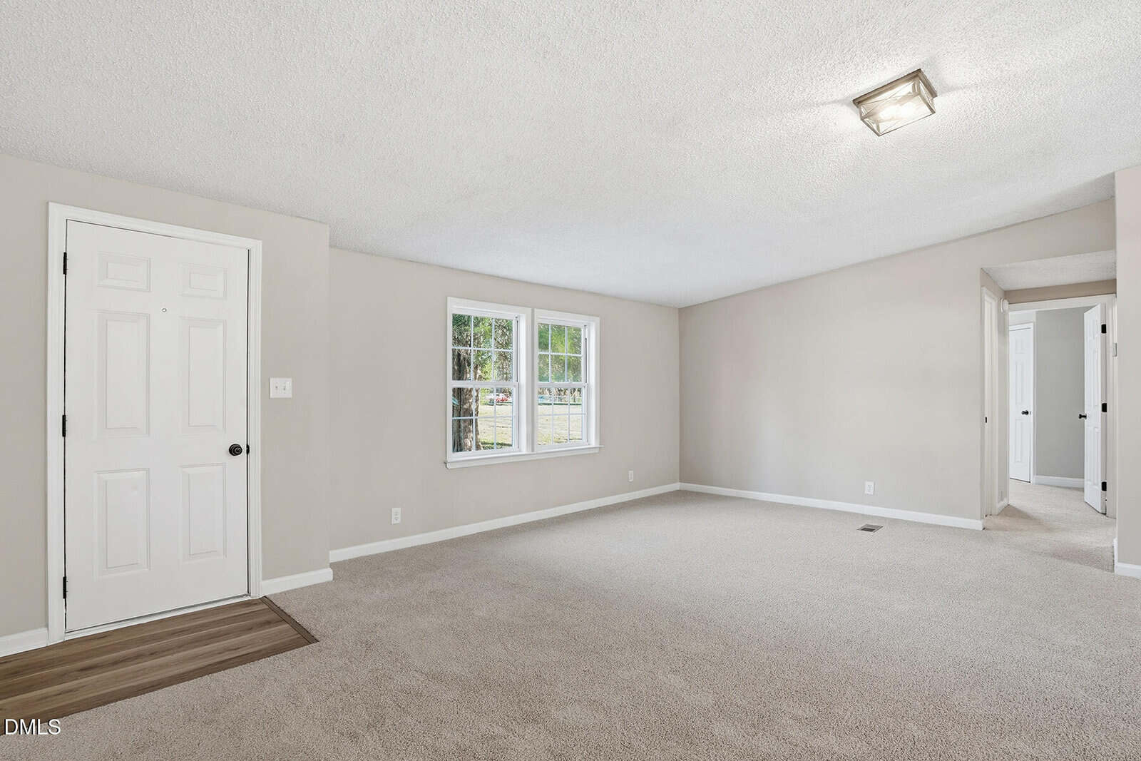 A bright, empty living room with beige carpet, light-colored walls, a white front door, a window, ceiling light, and visible doorways leading to other rooms.
