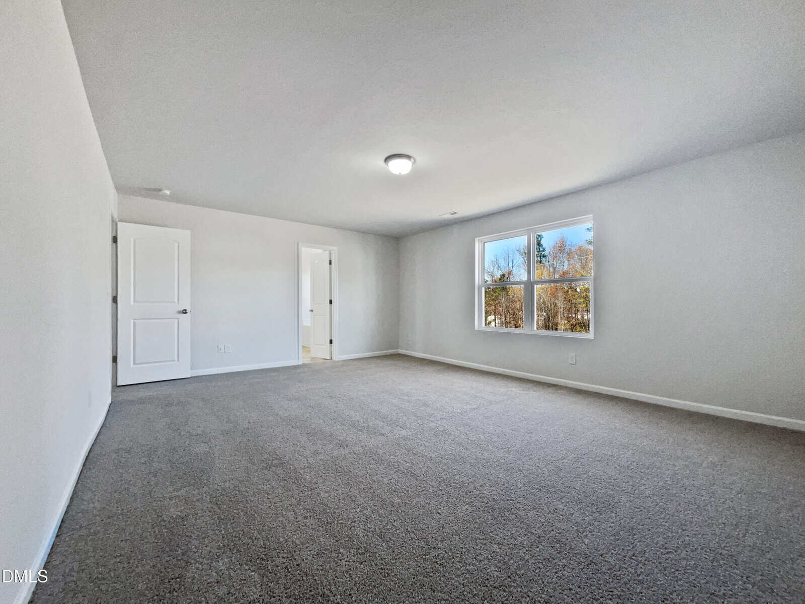 Spacious, empty room with light gray carpet, white walls, ceiling light, two doors, and a large window letting in natural light with trees visible outside.