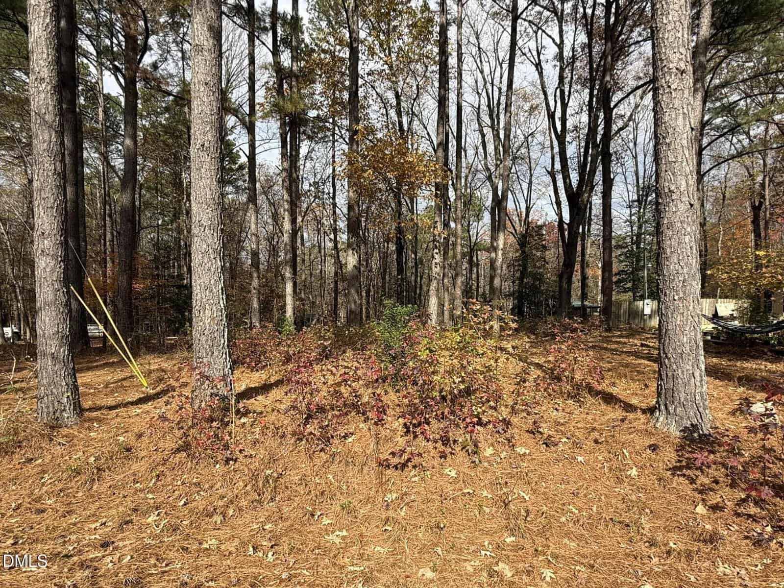 A wooded area near 131 Catoose Drive in Louisburg, with tall, leafless trees, scattered pine needles covering the ground, and some low shrubs with reddish leaves. Yellow utility poles and wires are visible on the left side. The background shows more trees and sky.