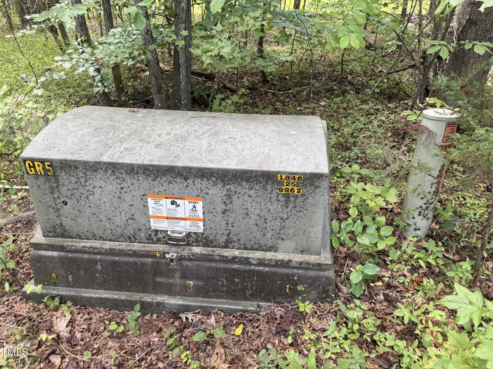 A gray utility box marked “CR5” and a vertical utility post stand on leafy ground surrounded by green vegetation and trees in a wooded area.