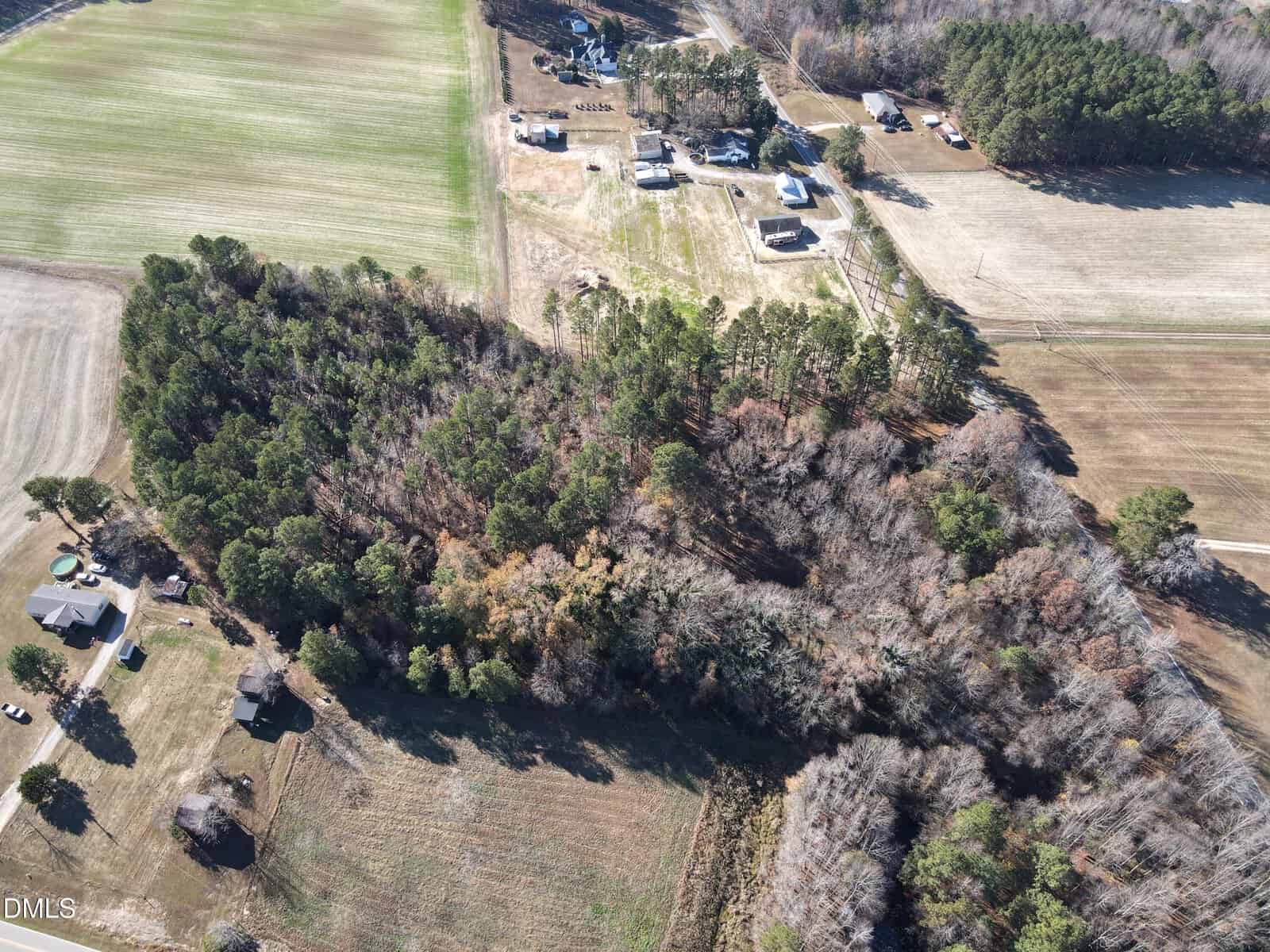 Aerial view of a rural landscape featuring a wooded area in the center, surrounding open fields, several scattered houses, and a road running along the right side of the image.