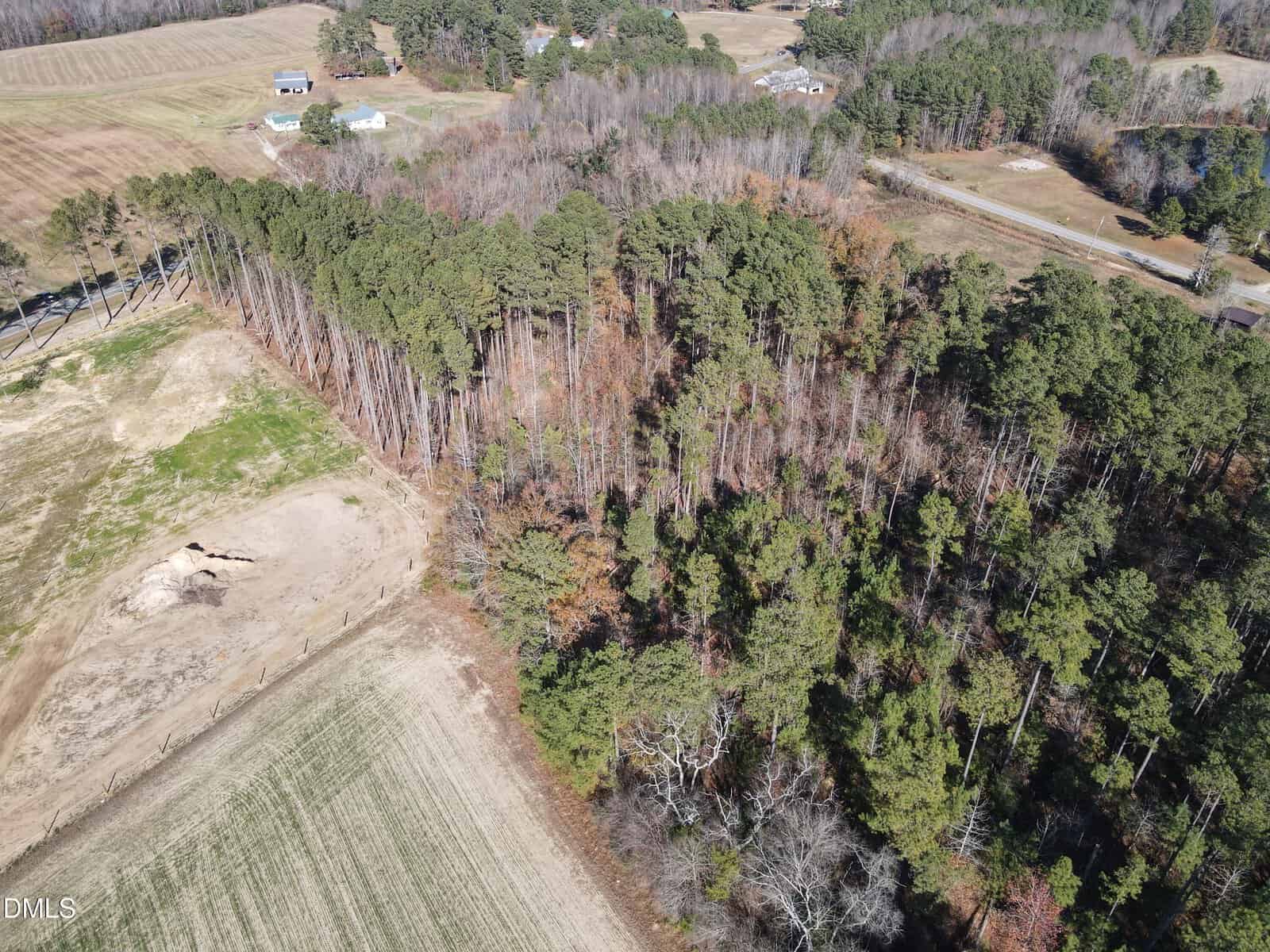 Aerial view of a forested area bordered by open fields, with scattered houses and roads in the background. The trees are dense, and the surrounding fields show patches of grass and bare soil.