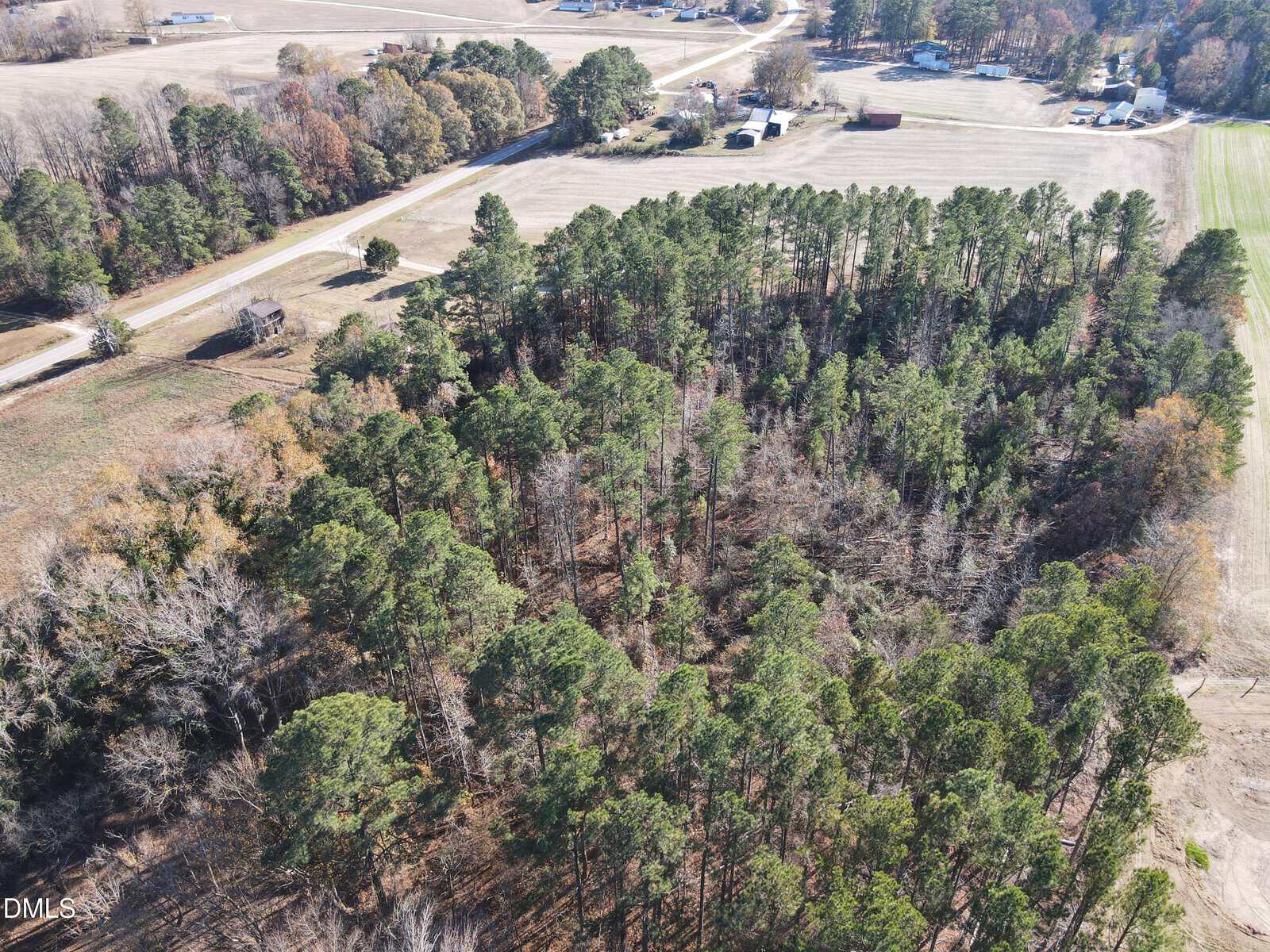 Aerial view of a wooded area with dense trees surrounded by open farmland, a road, and scattered houses in the distance on a clear day.