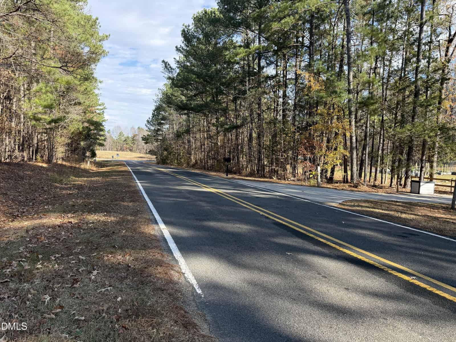 A two-lane paved road with yellow center lines curves slightly to the left, bordered by tall pine trees on both sides under a partly cloudy sky. The ground is covered with dry grass and pine needles.
