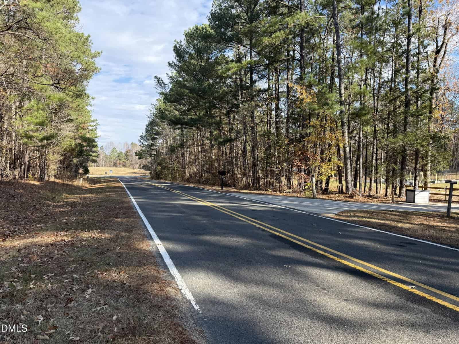 A two-lane asphalt road curves gently to the left, bordered by tall pine trees on both sides under a partly cloudy sky. There are leaves scattered along the roadside and a wooden fence on the right.