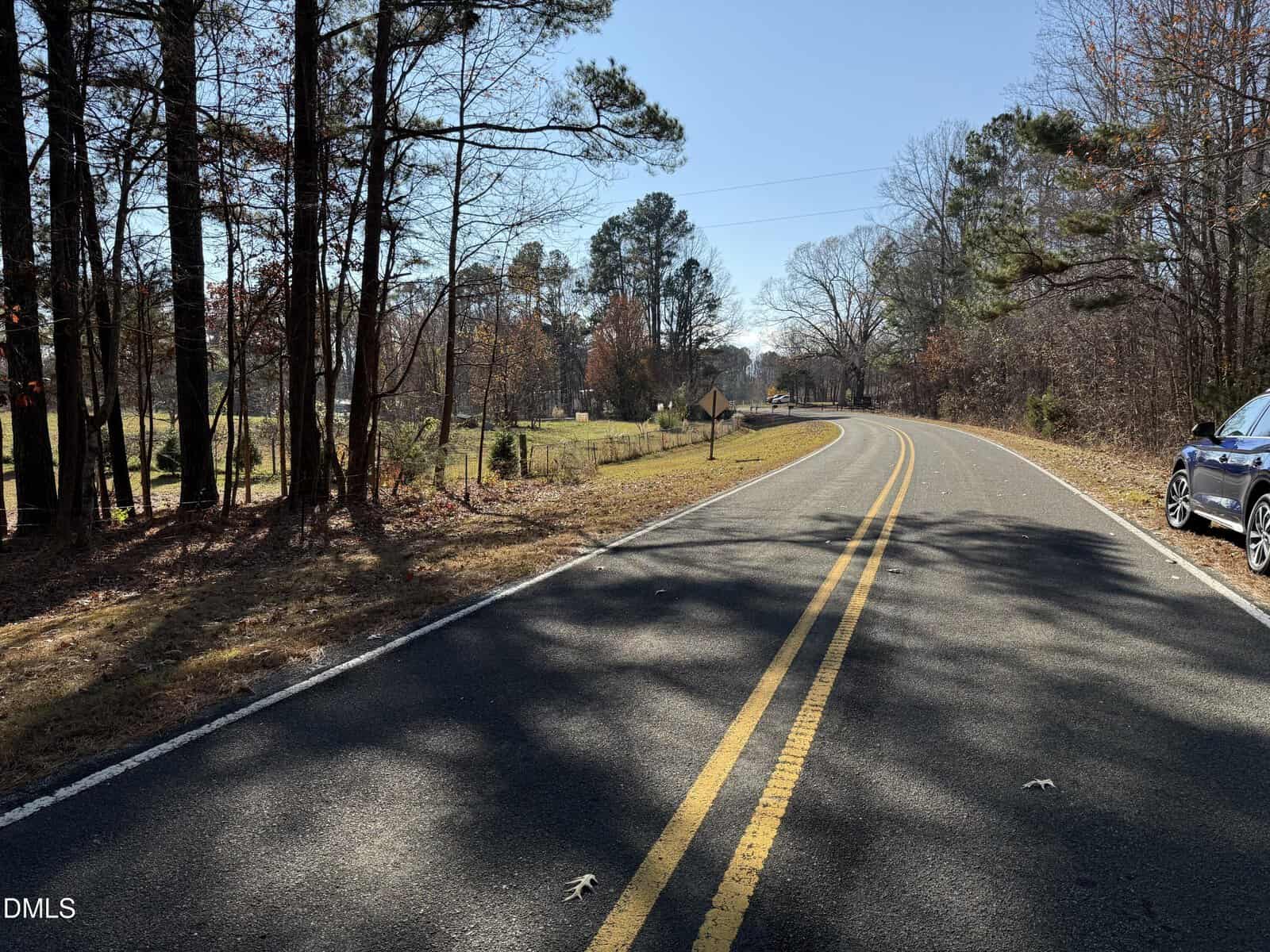 A two-lane paved road curves to the right, bordered by trees and grass on both sides. A blue car is parked on the right shoulder, and the sky is clear and sunny. Shadows of trees fall across the road.