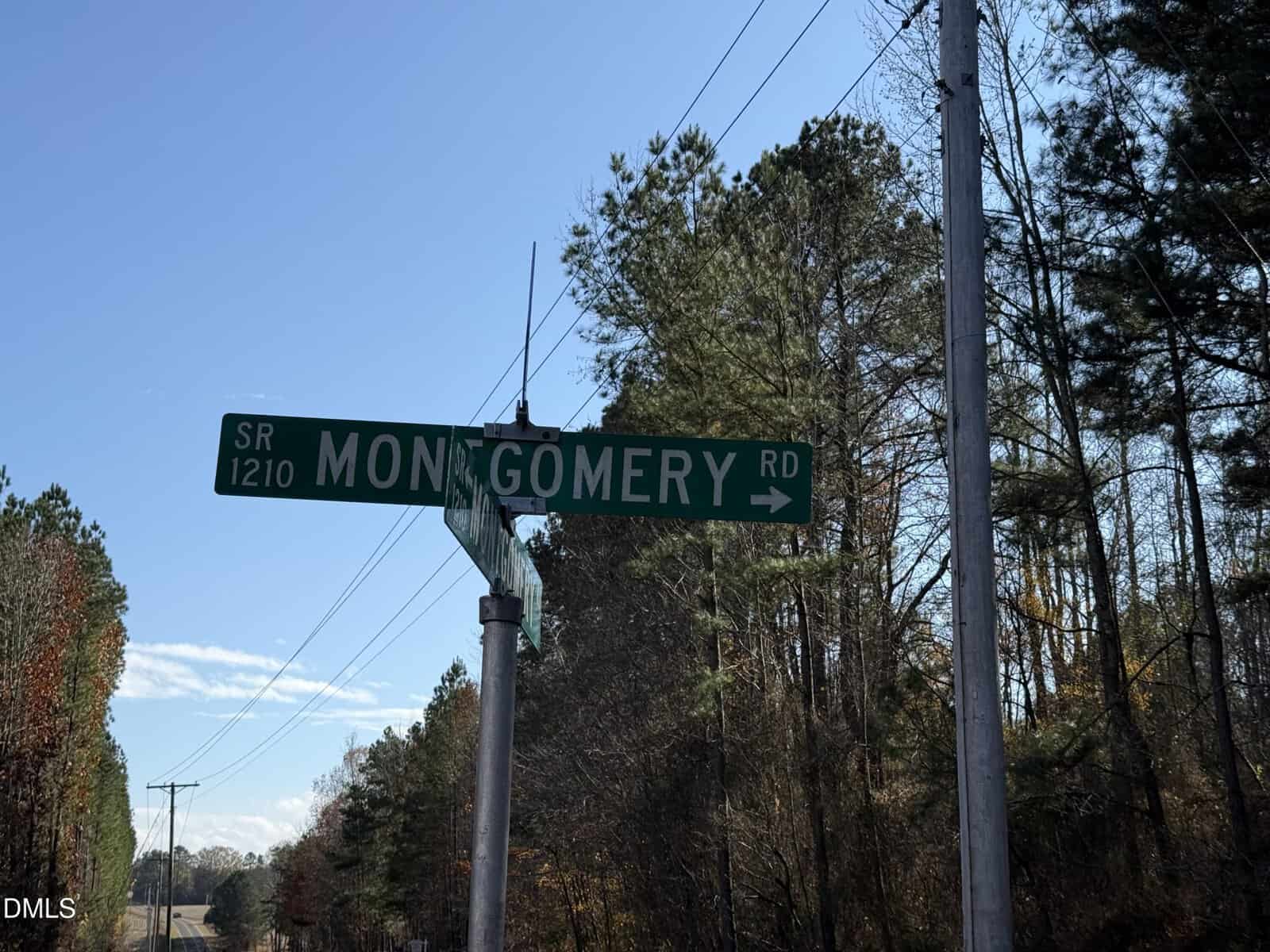 A green street sign reads “SR 1210 Montgomery Rd” with trees and a clear blue sky in the background.