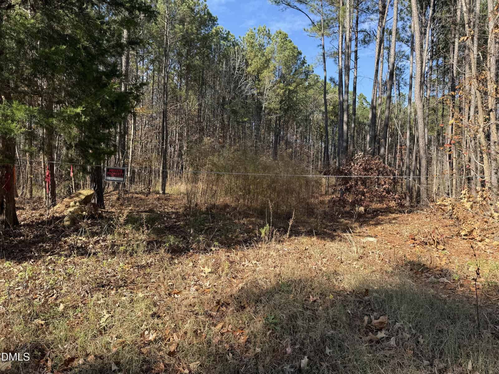 A wooded area with tall trees, dry grass, and fallen leaves on the ground. A wire fence and a red “No Trespassing” sign are visible among the trees. Sunlight filters through the branches.