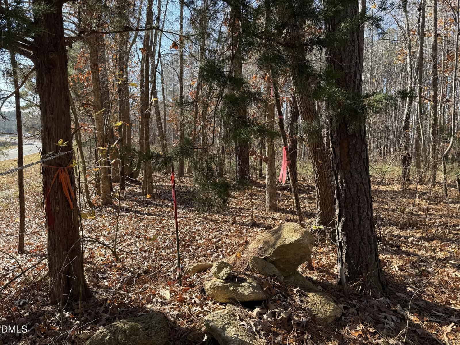 A wooded area with tall trees, fallen leaves covering the ground, and several trunks marked with pink and orange survey ribbons. A small stack of rocks sits in the foreground. Sunlight filters through the branches.