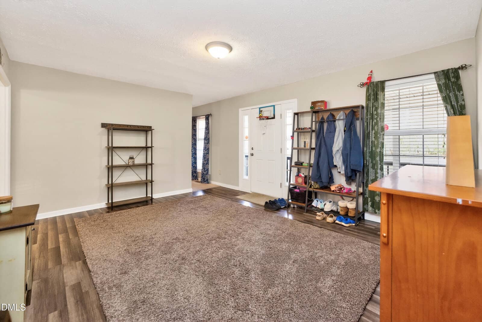 Spacious living room with beige walls, brown carpet, wood floors, and a ceiling light. Entryway features a coat rack, shoes, and a window with green curtains. An empty shelf stands against one wall.