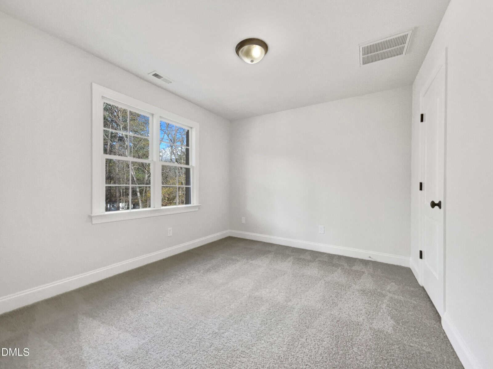 Empty room with light gray carpet, white walls, and a ceiling light. A large window lets in natural light and provides a view of trees outside. A white door is on the right side of the room.