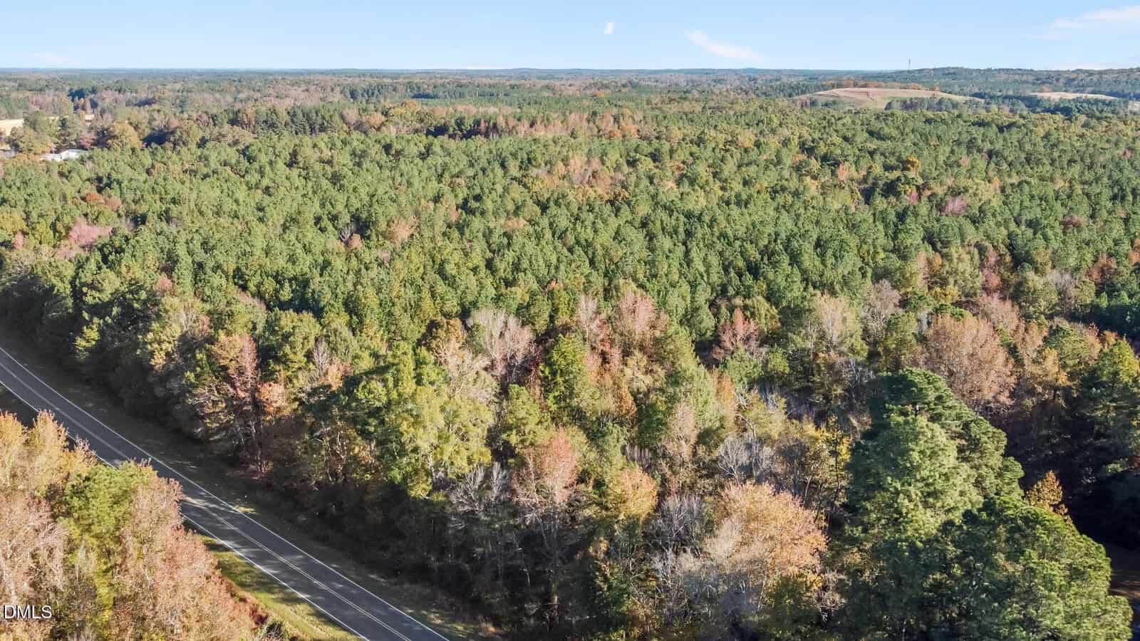 Aerial view of a dense forest with mostly green trees and some autumn foliage, next to a straight two-lane road running along the left side of the image under a clear sky.