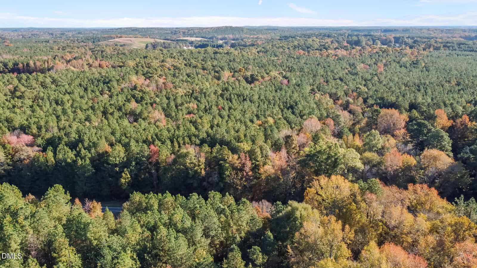 Aerial view of a dense forest with a mix of evergreen and deciduous trees showing early autumn colors, stretching to the horizon under a partly cloudy sky. A road is partially visible in the lower left.
