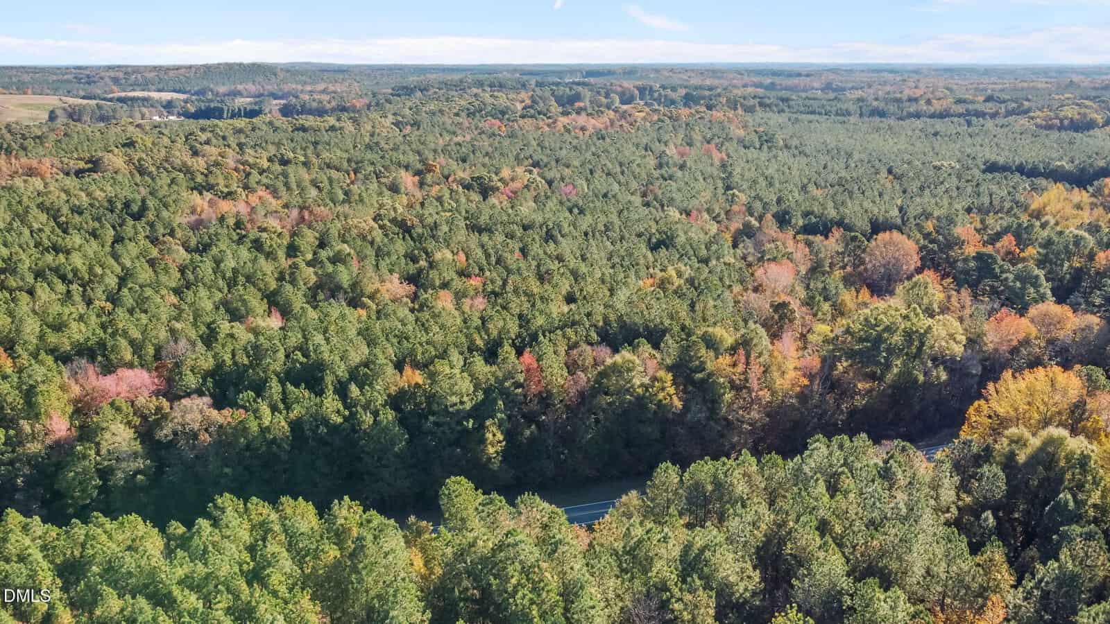 Aerial view of a dense forest with a mix of green and autumn-colored trees. A road is partially visible, winding through the lower portion of the image. The sky is clear with a few clouds on the horizon.