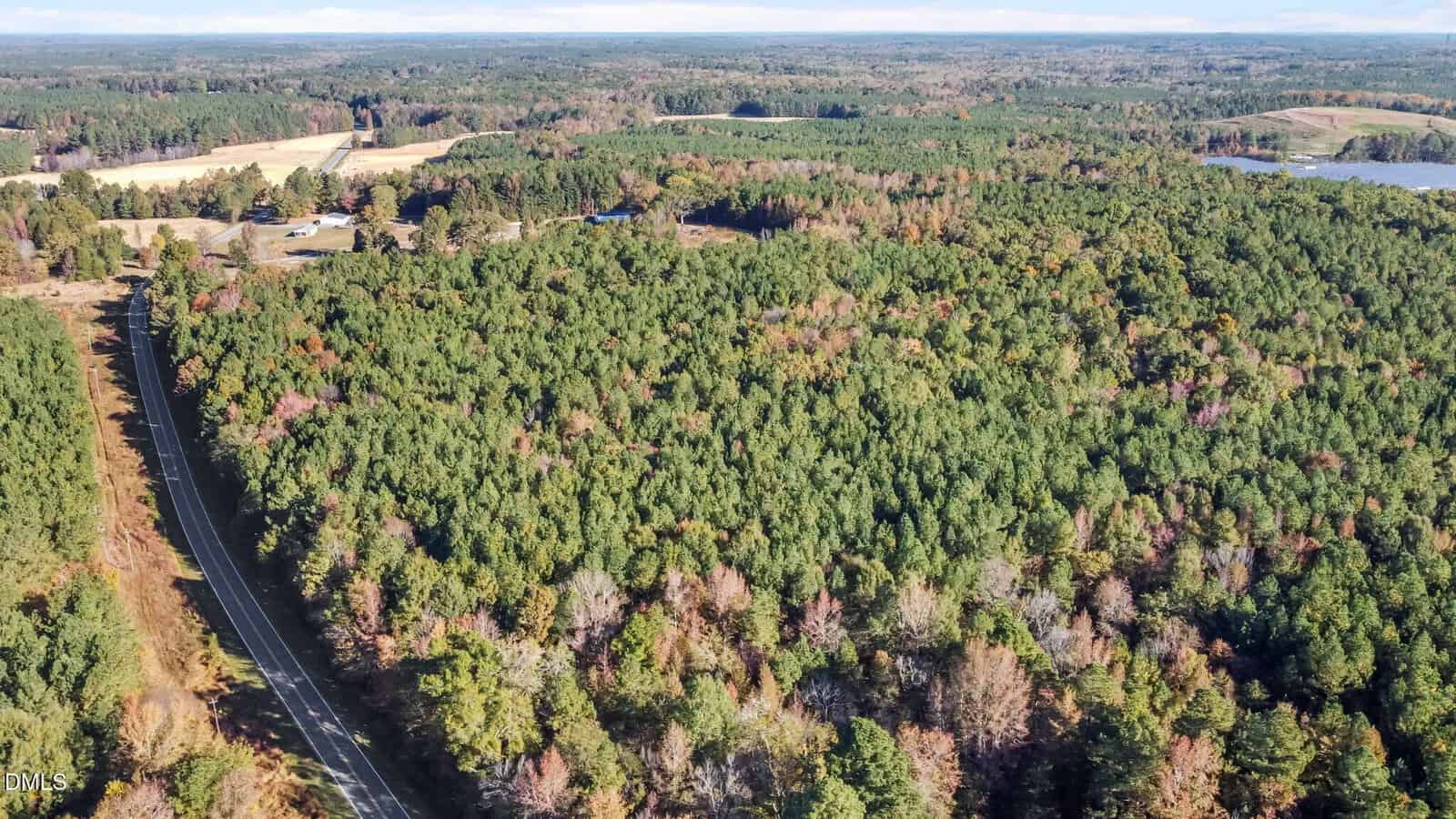Aerial view of a dense forest with a winding road on the left side. Fields and scattered buildings are visible in the distance, and a body of water appears in the upper right background under a partly cloudy sky.