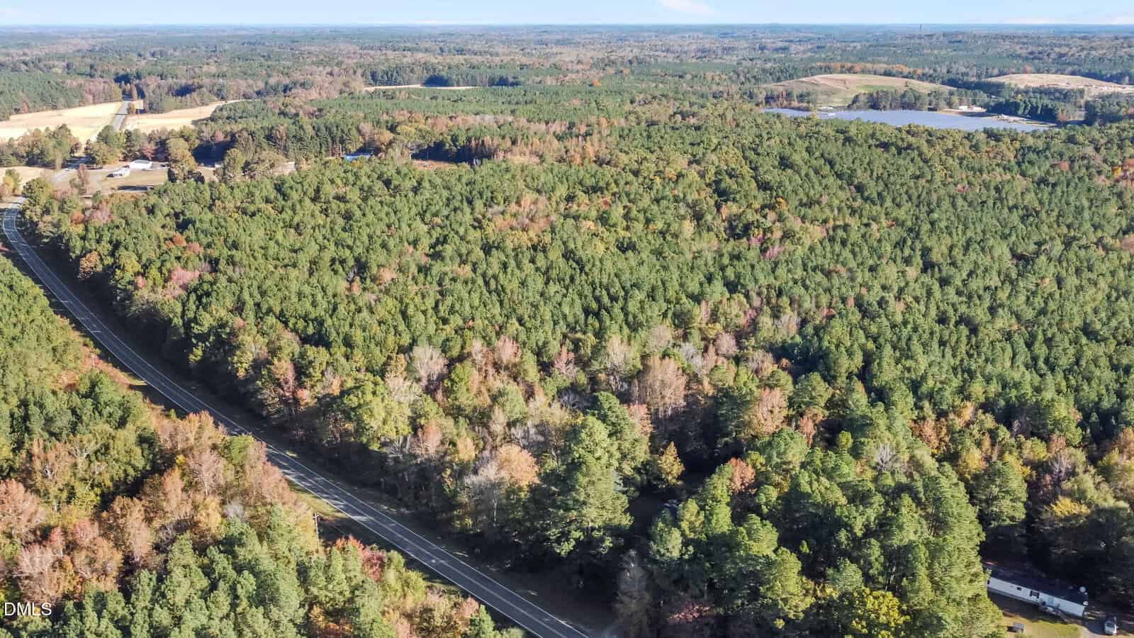 Aerial view of a rural landscape with a dense forest, a two-lane road running along the left side, and a few scattered buildings amid the trees and open fields in the background.