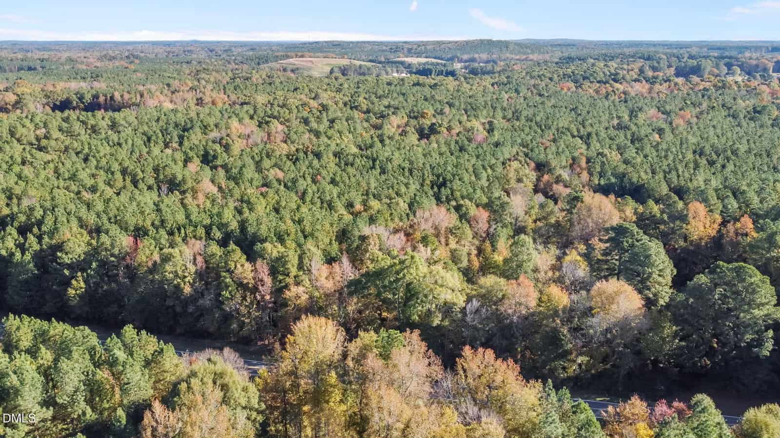 Aerial view of a dense forest with green and autumn-colored trees under a clear sky, with a winding road partially visible through the lower part of the image. Hills are seen in the distant background.