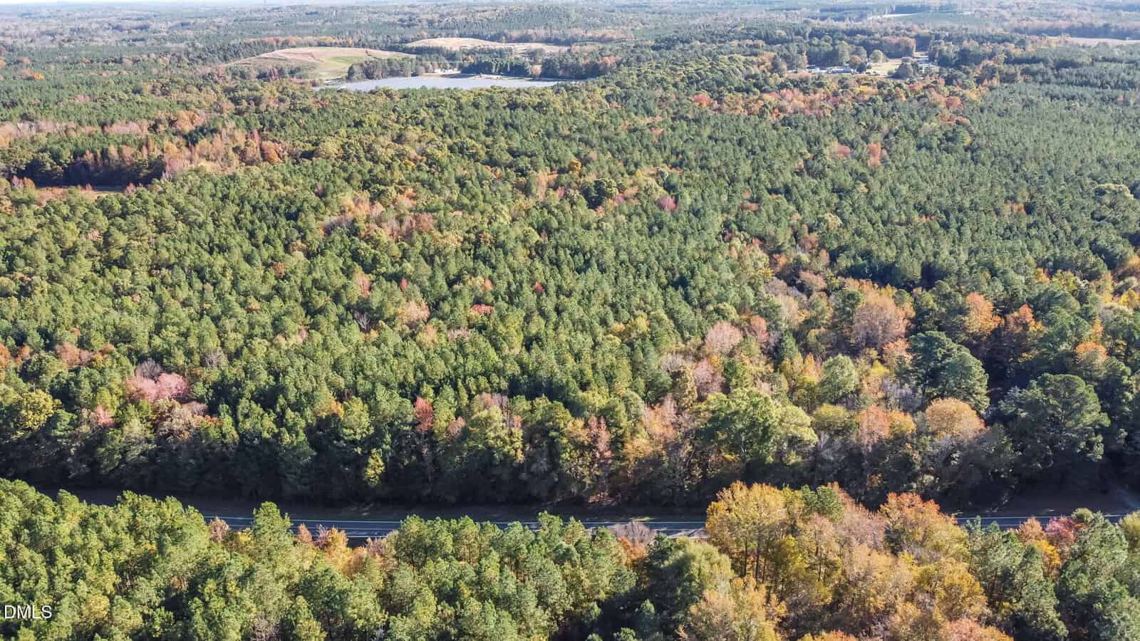 Aerial view of a dense forest with autumn foliage, a road running along the bottom, and a distant lake visible near the horizon under a clear sky.