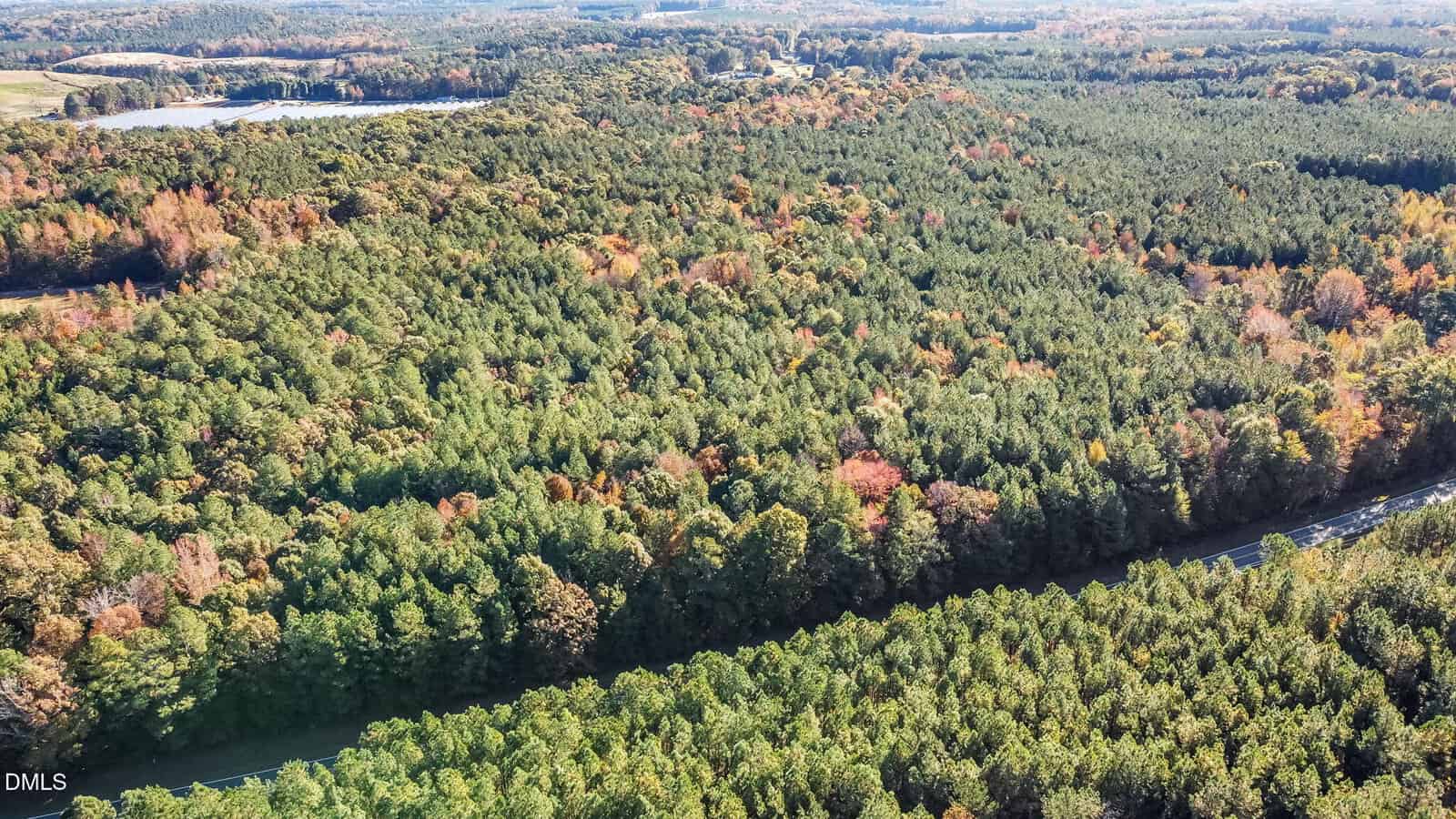 Aerial view of a vast, dense forest with a mix of green and autumn-colored trees, a road cutting through the bottom, and a lake in the upper left background. The landscape extends to the horizon.
