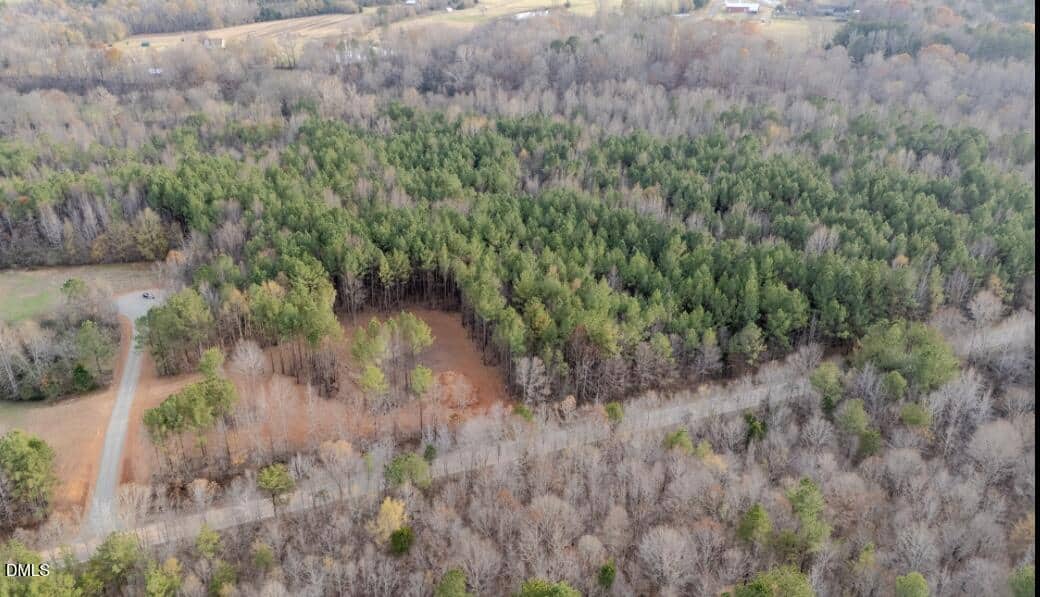Aerial view of a wooded area with dense green trees surrounded by leafless trees. A dirt road runs along the left and bottom edges, and some houses are visible in the distance beyond the forest.