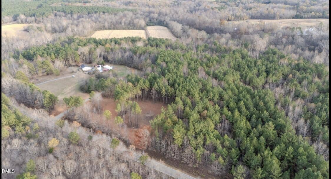 Aerial view of a rural landscape showing a cluster of buildings surrounded by mixed forest, open fields, and a road running along the bottom edge of the image. Most trees are green, with some leafless trees present.