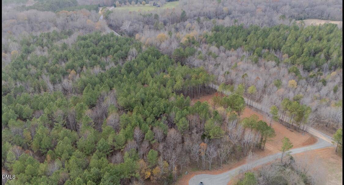 Aerial view of a forested area with a mix of green pine trees and leafless deciduous trees, intersected by a winding dirt road and some open clearings. Houses and fields are visible in the background.
