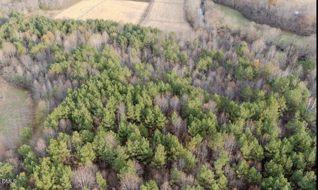 Aerial view of a densely wooded area with evergreen and deciduous trees, bordered by open fields and a mix of green and leafless branches, photographed in late autumn.