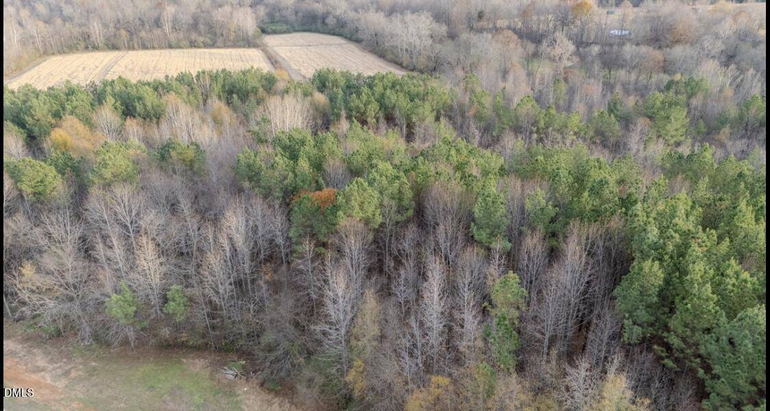Aerial view of a forested area with a mix of evergreen and leafless trees, adjacent to cleared fields and surrounded by more trees in the background.