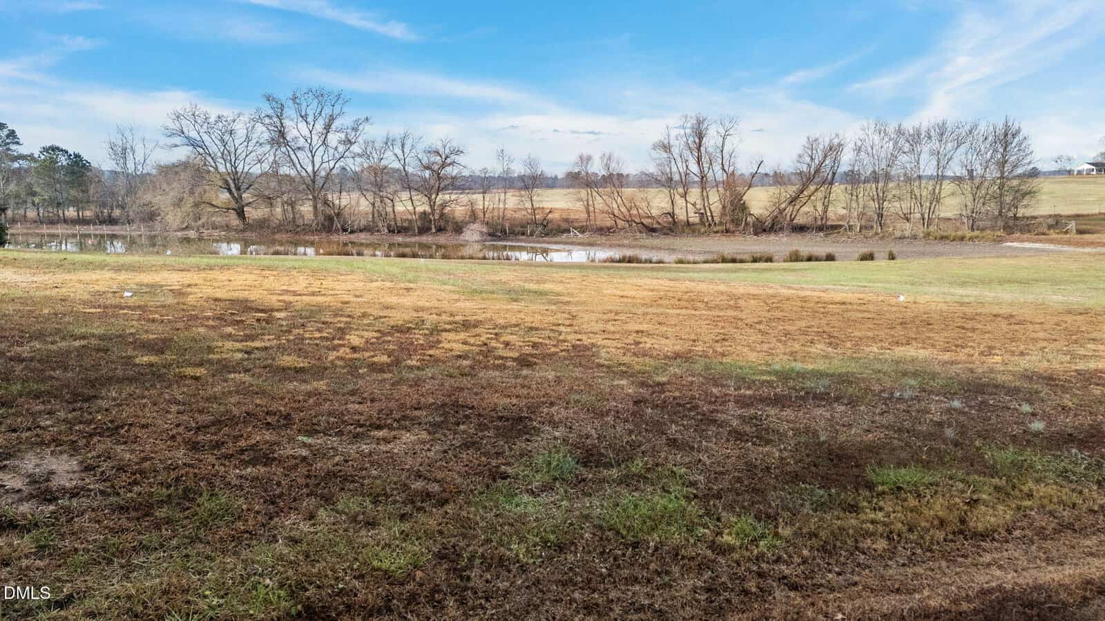 A grassy field with patches of brown and green stretches toward a small pond, bordered by leafless trees under a blue sky with wispy clouds. In the background are open fields and more distant trees.