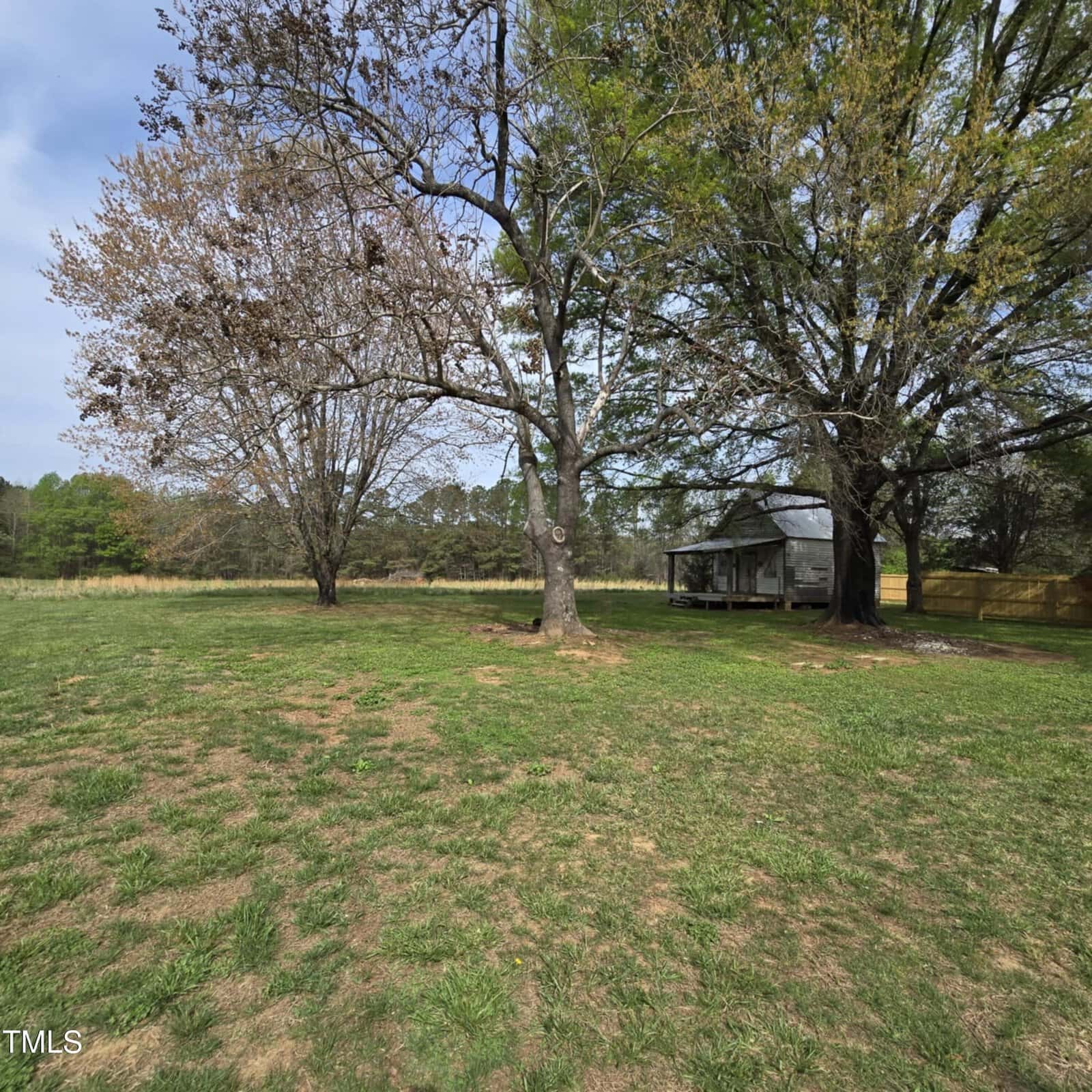 Grassy yard with two large trees, one partly barren and one leafy, and a small shed or barn in the background. A wooden fence and grassy field are also visible, under a clear sky.