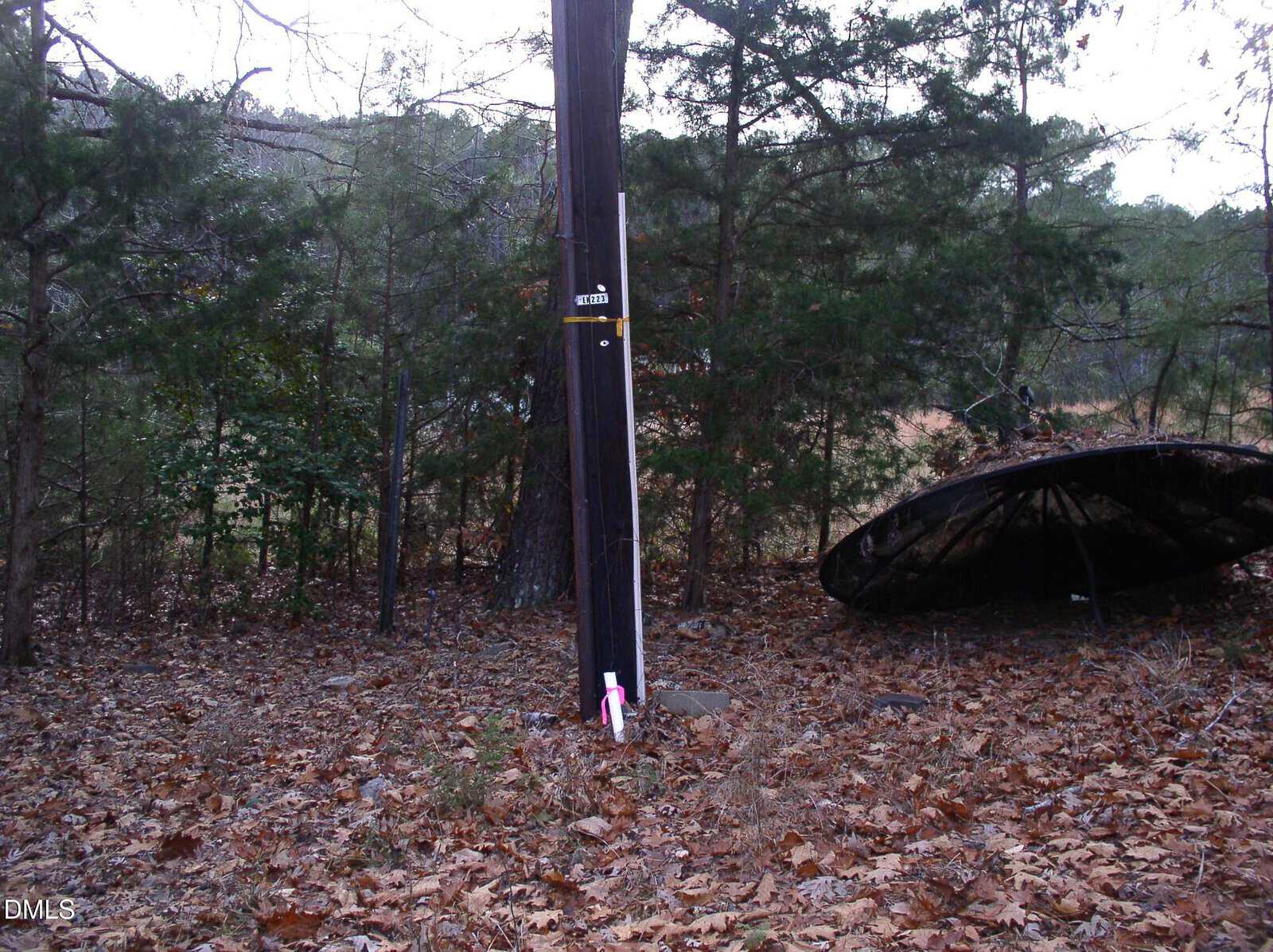 A utility pole with a street number sign and a white post in front stands among trees and fallen leaves; an old, large satellite dish lies on the ground to the right.